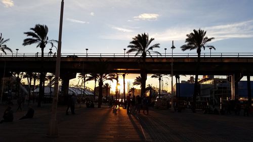 Silhouette of palm trees at sunset