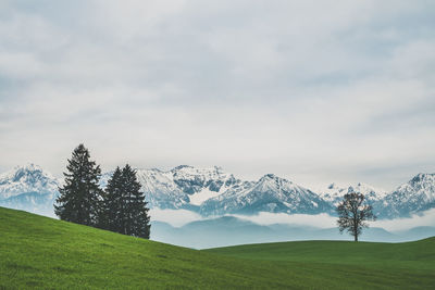 Scenic view of landscape against cloudy sky