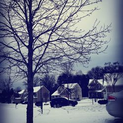 Bare trees on snow covered landscape