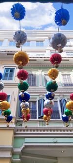 Low angle view of multi colored flowers against building