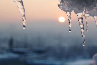 Close-up of icicles against sky during sunset