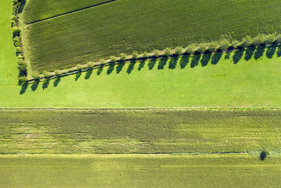 High angle view of grassland