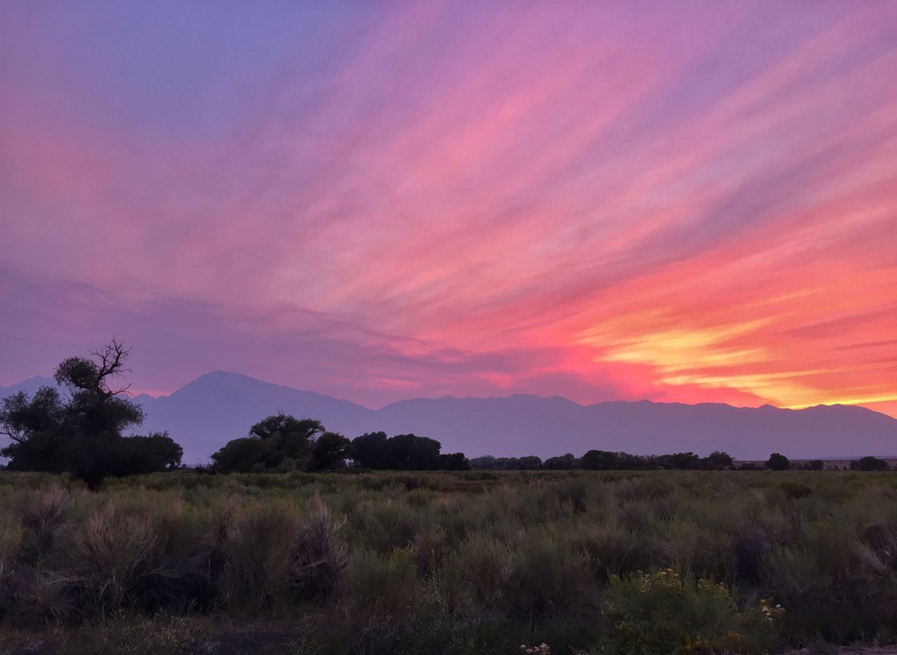 sunset, tranquil scene, tranquility, scenics, sky, landscape, beauty in nature, orange color, nature, tree, field, idyllic, cloud - sky, non-urban scene, cloud, grass, growth, mountain, remote, plant