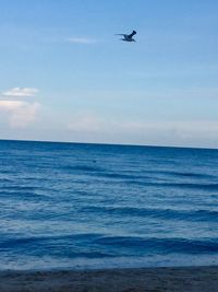 Bird flying over sea against sky