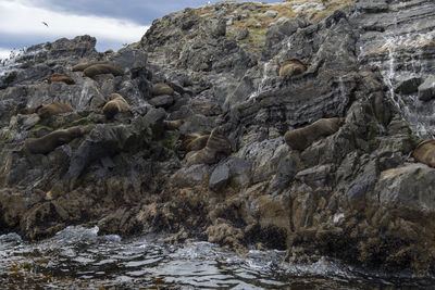 Scenic view of rocks in sea