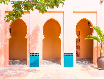 Potted plants outside building