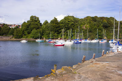 Boats in harbor