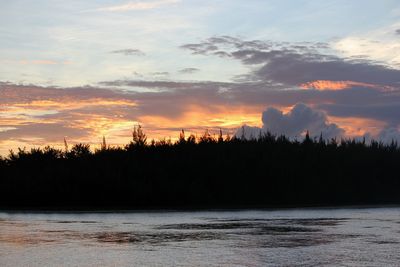 Scenic view of silhouette trees against sky during sunset