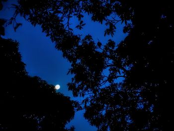 Low angle view of silhouette trees against blue sky