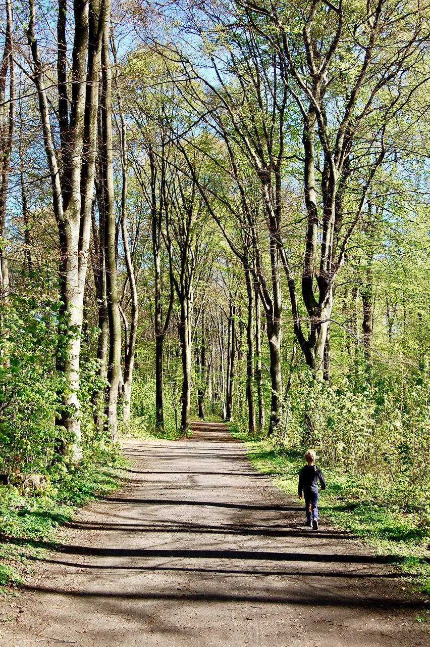 tree, real people, the way forward, day, outdoors, sunlight, nature, shadow, growth, one person, beauty in nature, sky, people