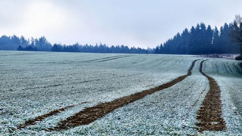 Scenic view of field against sky during winter