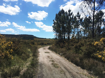 Dirt road along plants and trees against sky