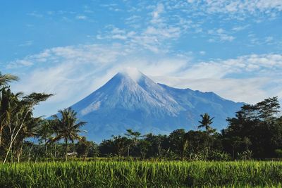 Mount merapi in yogyakarta, indonesia 