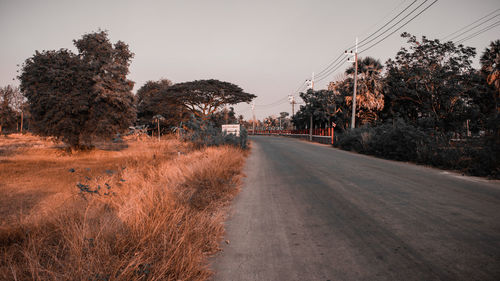 Road amidst trees against sky
