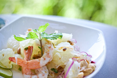 Close-up of meal served in plate