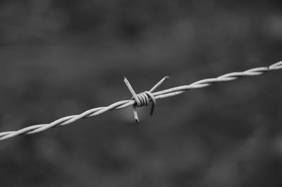 Close-up of barbed wire fence