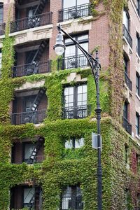 Low angle view of residential building