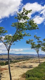 Scenic view of field against cloudy sky