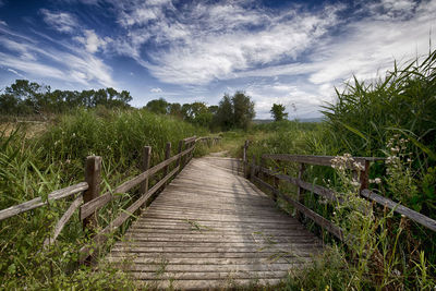 Boardwalk amidst trees on landscape against sky