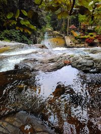 Stream flowing through rocks in forest