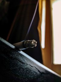 Close-up of cigarette