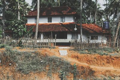 Old wooden house and trees in forest