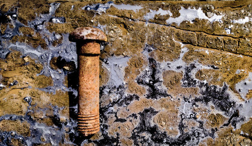 Close-up of rusty pipe on rock