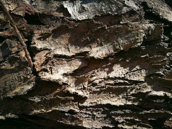 Full frame shot of rock