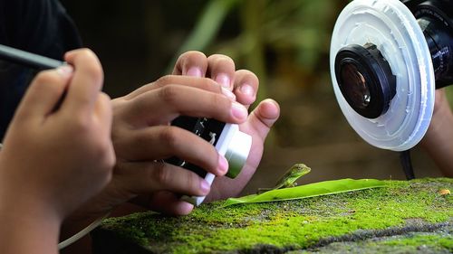 Cropped image of people photographing lizard