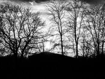 Silhouette of bare tree at sunset