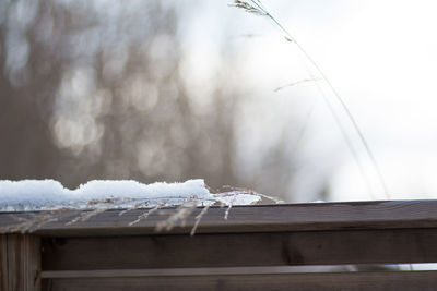 Close-up of frozen ice