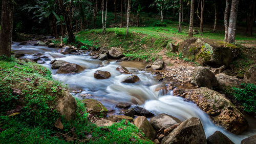 Stream flowing through rocks at forest
