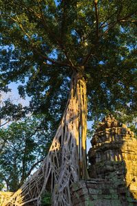 Low angle view of a temple