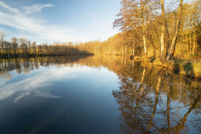 Scenic view of lake in forest against sky