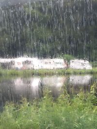 Full frame shot of wet water