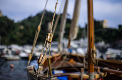 Sailboats moored in marina