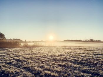 Scenic view of field against sky during winter