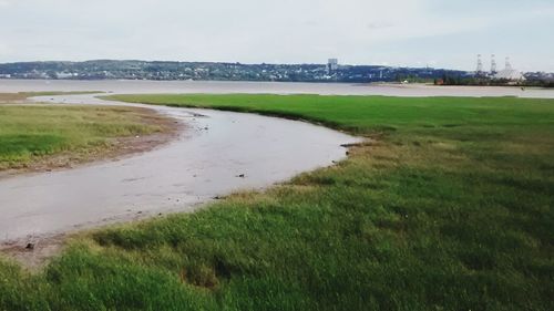 Scenic view of grassy field against sky