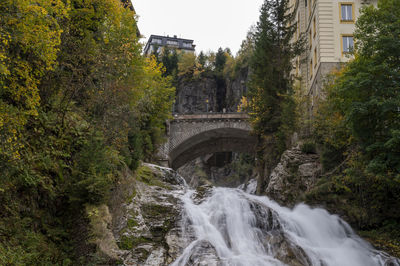 Arch bridge over river in forest