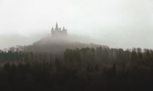 Trees in foggy weather against sky