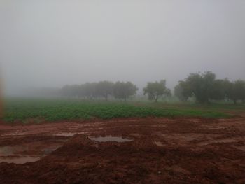 Scenic view of field against sky during foggy weather