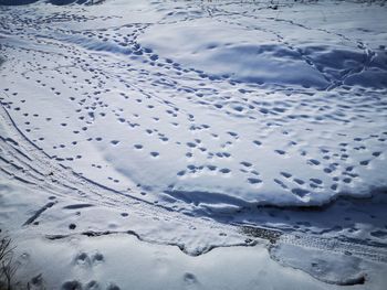 High angle view of footprints on snow covered land