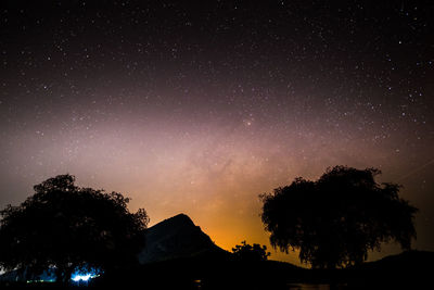 Low angle view of silhouette trees against sky at night