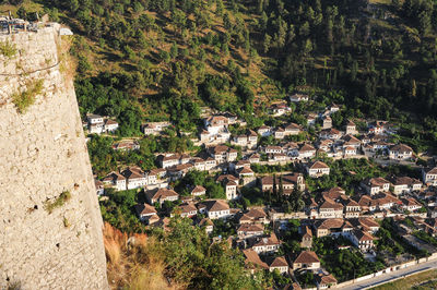 High angle view of trees and buildings in town