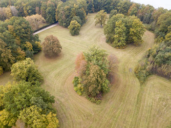 High angle view of trees on field