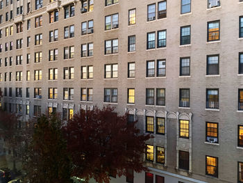 Apartment complex facade during sunset reflecting evening lights framed by brown leave trees 