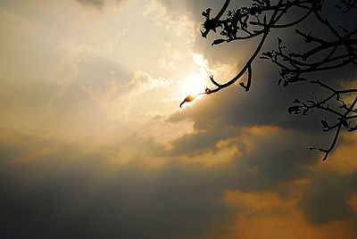 Low angle view of silhouette birds flying against sky during sunset