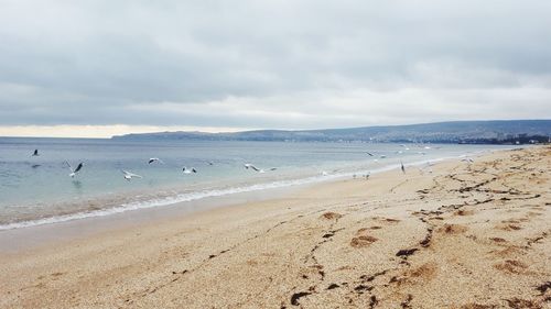 Scenic view of beach against sky