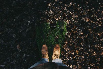 Low section of person standing on ground