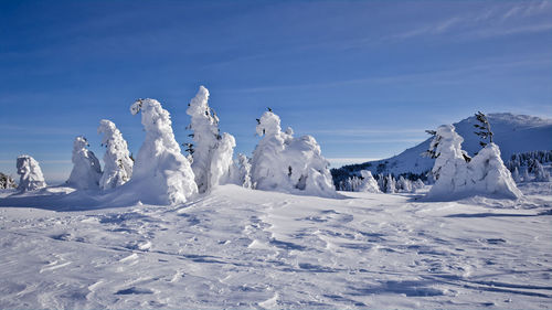 Snow covered landscape against blue sky